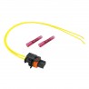 Citroen Fiat Ford Peugeot Renault 2pin injector connector with wires